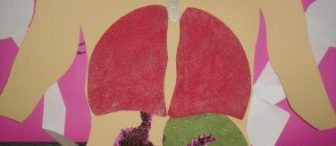 Vücudumuz konulu çalışmamız