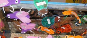 Böcek akvuryumu !!!