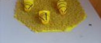 Arı ve petek ilgi çekici