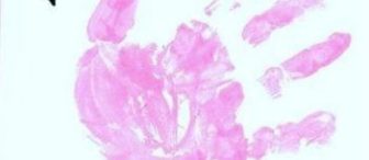 Flamingo Sanat Etkinliği