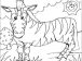 zebra boyama