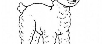 Kuzu Boyama Sayfaları