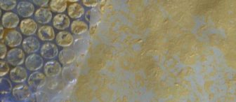 Arı Kovanı ve Arılar