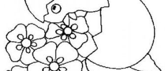 Civciv Boyama :)   ( selwi hoca için)