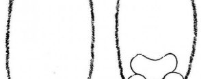 Ayicik