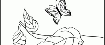 Minik tırtıl kelebek oluyor hikayesinin resimlerini bulamadım yardım edermisiniz?