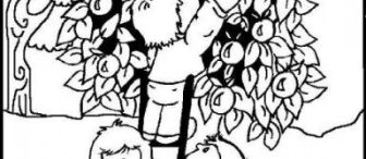 Elma ile aradığınız tüm boyamalar bir arada …