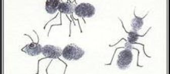 Parmak izinden karınca ve penguen