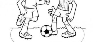 Spor Dalları Boyama