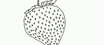 Yerli malı   için meyve boyamaları