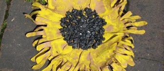 El Baskısı ile Ay Çiçeği