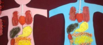 iç organlarımız..