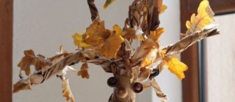 sonbahar ağacı ilginç:)