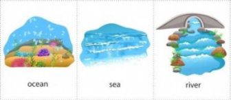 Doğamız Flash Kartlar