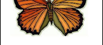 Okul Öncesi İngilizce Öğretimi – Flash Kartla Hayvanları Öğretelim(2)