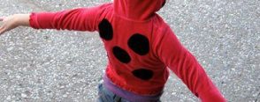 Homemade Ladybug Costume