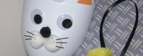 Pet şişe başından kedi