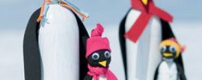 Pet şişeden anne ve yavru penguenler