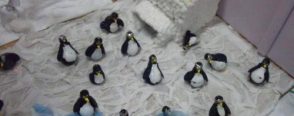 Ampulden penguenler