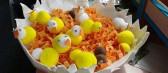 Kocaman bir yumurta  ve içinde civcivlerimiz