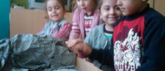 proje çalışması ormanımız