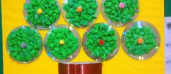 Çam Ağacımız(cd ile)