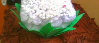 Karnıbahar Yapmışlar:)