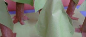 Bizim Ormanlarımız… :)