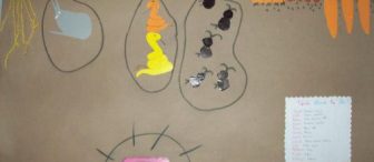 Toprak Altında Ne Var???