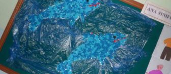 Sevimli Yunuslarımız :)