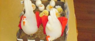 Çok şirin tavuğun büyüme aşamalari