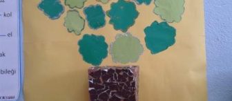 Ağaçların faydaları konulu proje çalışmamız