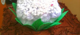 Karnıbahar Yapmışlar:)