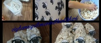 Bayram hediyesi kuzucuklar