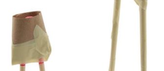 tavuk ailesi (kağıt bardaktan)