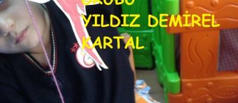 Hareketli Ağaçkakan Kuşu oyuncağı  ile cins isim etkinliği