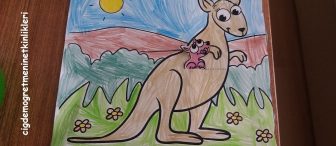 Bebek Kanguru annesinin cebinde…