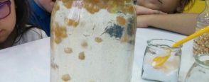 Dans eden mısırlar deneyi