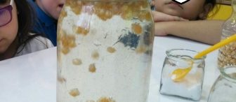 Dans eden mısırlar deneyi