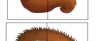 Hayvanların yarısını bulma oyunları