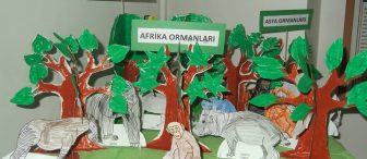 Dünya ormanları projemiz