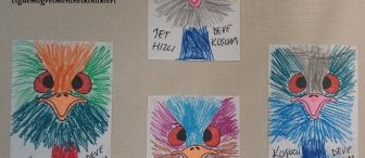 Koşucu Deve Kuşu  “Emu”