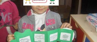 Kurbağanın oluşum aşamaları