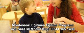 Montessori Eğitmen Eğitimleri Devam Ediyor