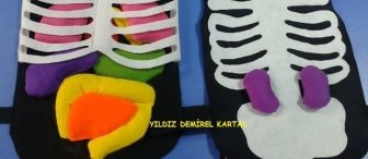 Organ önlüğü yapımı