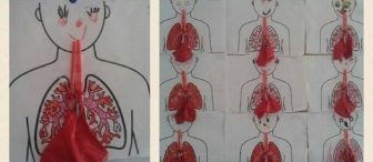 Solunum sistemi modelimiz “Deney ve sanat etkinliği”