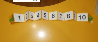 Akordeon Timsah sayı doğrusu